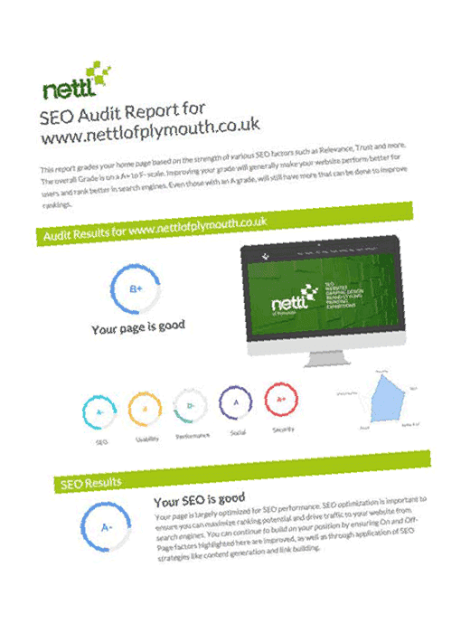 Free SEO Audit Report Example